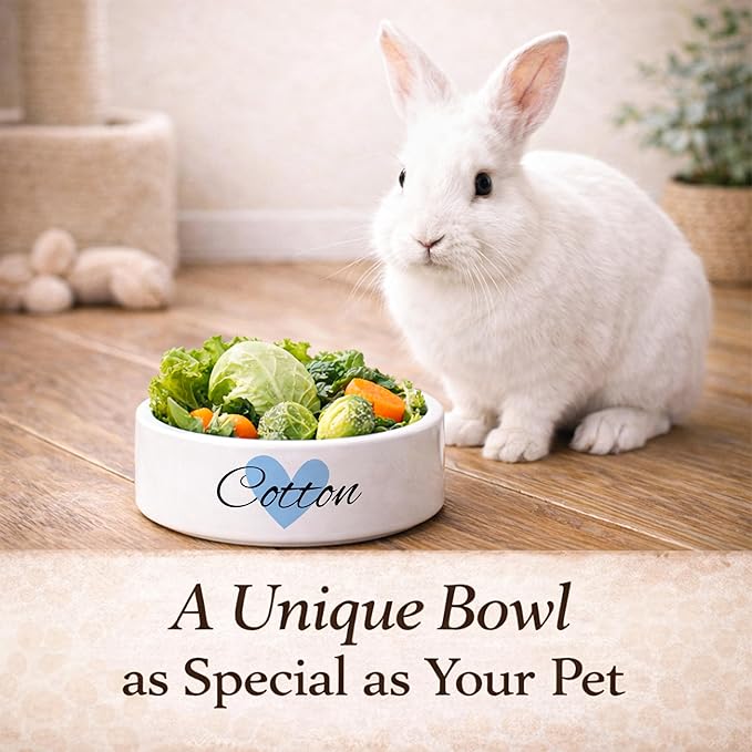 Custom Rabbit Bowl | Personalized Food & Water Dish with Name | Microwave & Dishwasher Safe Ceramic Pet Feeding Bowl | Gift Idea for New Bunny Owners | White – Small