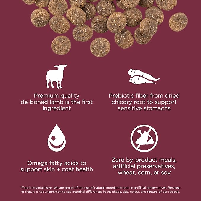 Go! Solutions Sensitivities Limited Ingredient Lamb Grain-Free Dry Dog Food, Chicken-Free Kibble Made by Experts for Sensitive Stomachs & Food Allergies, for Puppies, Adults, & Seniors, 3.5 lb Bag