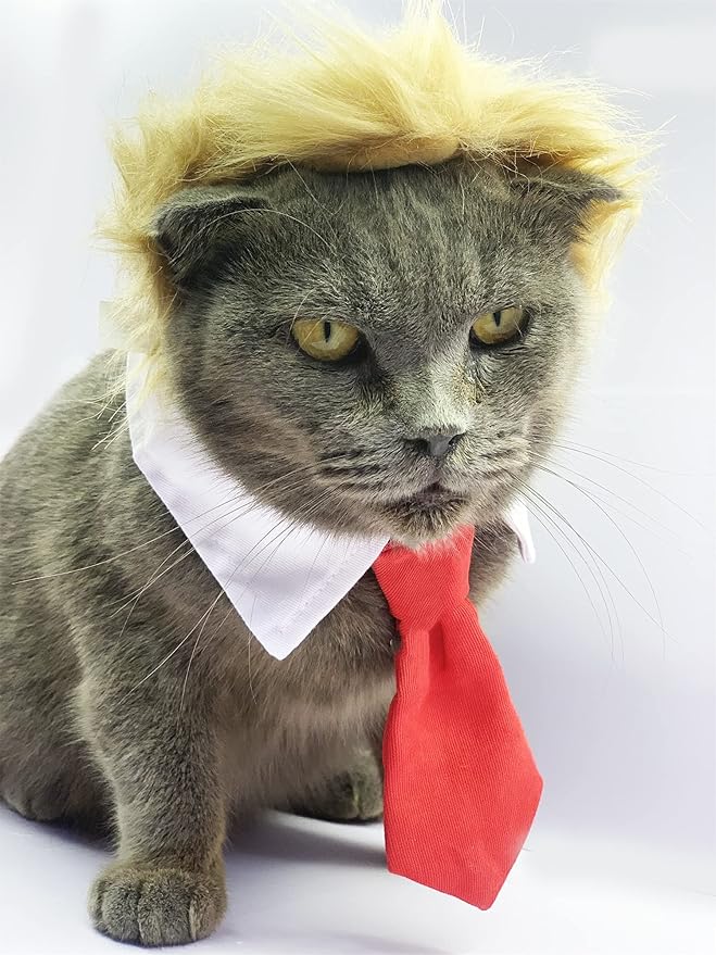 Donald Trump Style Pet Costume Dog Wig, Dog Clothes with Collar and Tie Head Wear for Halloween, Party, Festivals, Christmas(Yellow)