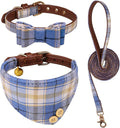 3 PCS Puppy Collar and Leash Set Dog Collars for Small Dogs Dog Bow Tie with Bell Puppy Bandana Leather Dog Collar for Small Dogs Puppies and Cats(Blue)
