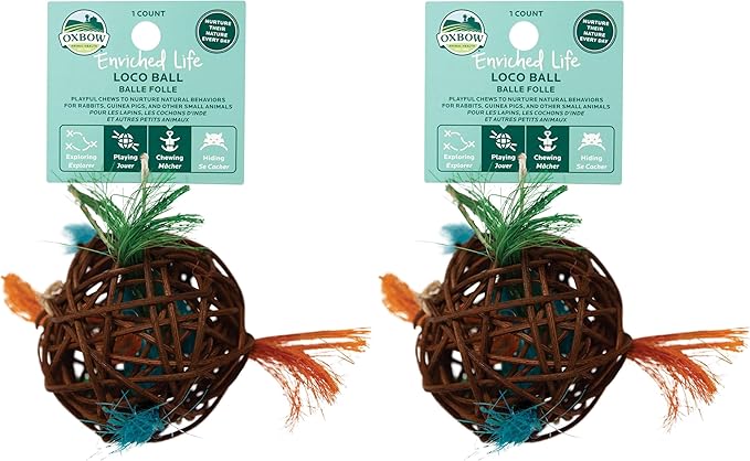 Oxbow Enriched Life Loco Ball, Rabbit Toys, Guinea Pig Toys, Enrichment for Bunny, Hamster, Rabbit, Chinchilla, Rat, Chinchilla Cage Accessories, Guinea Pig Accessories for Cage (Pack of 2)