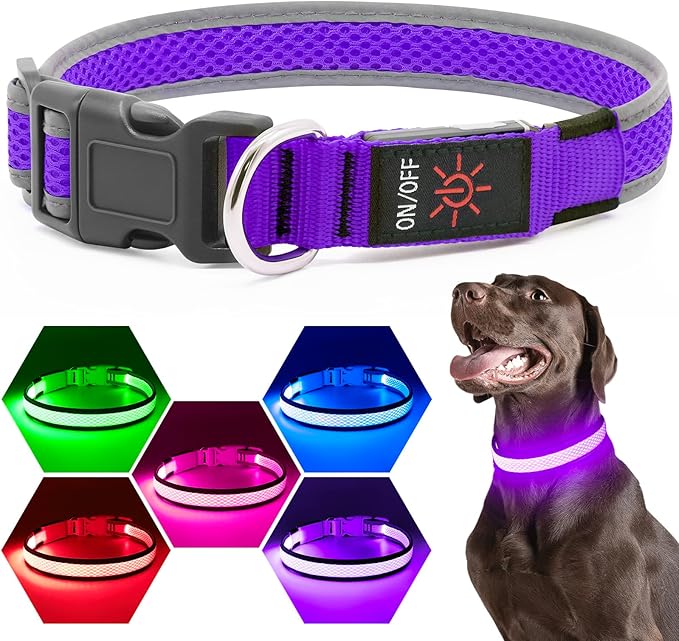 Flashseen LED Dog Collar, Light Up Dog Collar USB Rechargeable, Brightest Dog Lights for Night Walking, Adjustable Dog Collar Light for Dog Safety (Purple, Small)