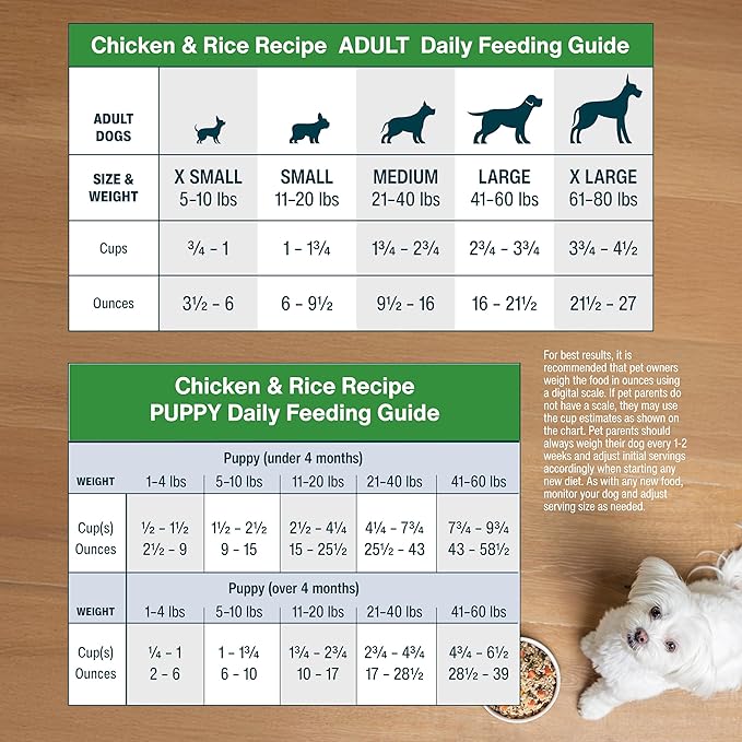 JustFoodForDogs Frozen Fresh Dog Food, Complete Meal or Dog Food Topper, Chicken & Rice Human Grade Dog Food Recipe, 18 oz (Pack of 21)