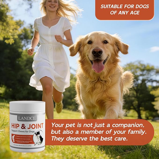 LANDCE Dog Hip and Joint Supplement, 200ct Glucosamine Chondroitin for Dogs with MSM, Green Lipped Mussel & Collagen Advanced Joint Pain Relief & Arthritis Support Senior Dog Joint Chews, All Breeds