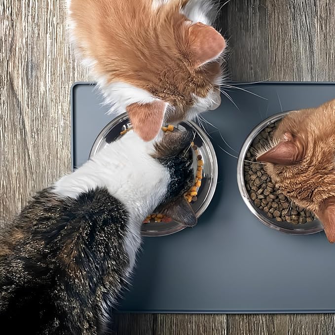 Stainless Steel Cat Bowls, Whisker Friendly Shallow Cat Food Bowls, Small Metal Pet Dish for Kittens and Indoor Cats, Basic Replacement Plates for Elevated Feeder Stands (7.1in-4Pcs)