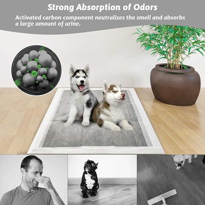 Fhiny Pee Pads for Dogs, 24" x 36" 20 PCS Extra Large Disposable Puppy Pads Leak-Proof Super Absorbent Charcoal Potty Training Pad with Quick-Dry Surface for Dogs Puppies Cats Kittens or Small Pets
