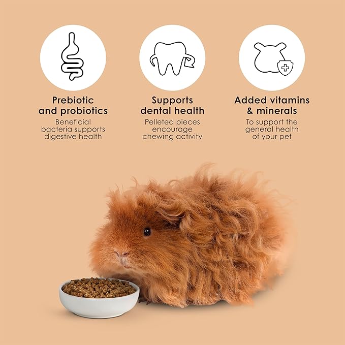 Kaytee Guinea Pig, Timothy Complete, 25lb