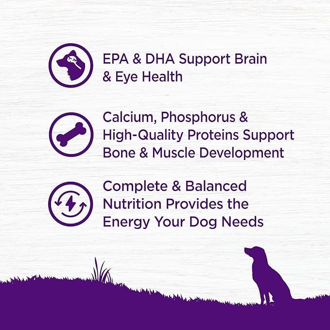 Wellness Complete Health Puppy Dry Dog Food, Wholesome Grains, Natural, Chicken, Oatmeal, & Salmon Recipe, (30-Pound Bag)