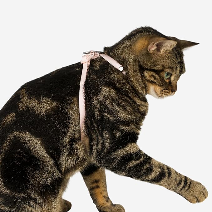 Escape Proof Cat Harness Anti-Choke Quick Release Adjustable QR Code Soft Nylon Durable Lightweight Figure 8 Cat Harness Anti Escape for Kitten Small Medium Large Cats (Space Gray, M)