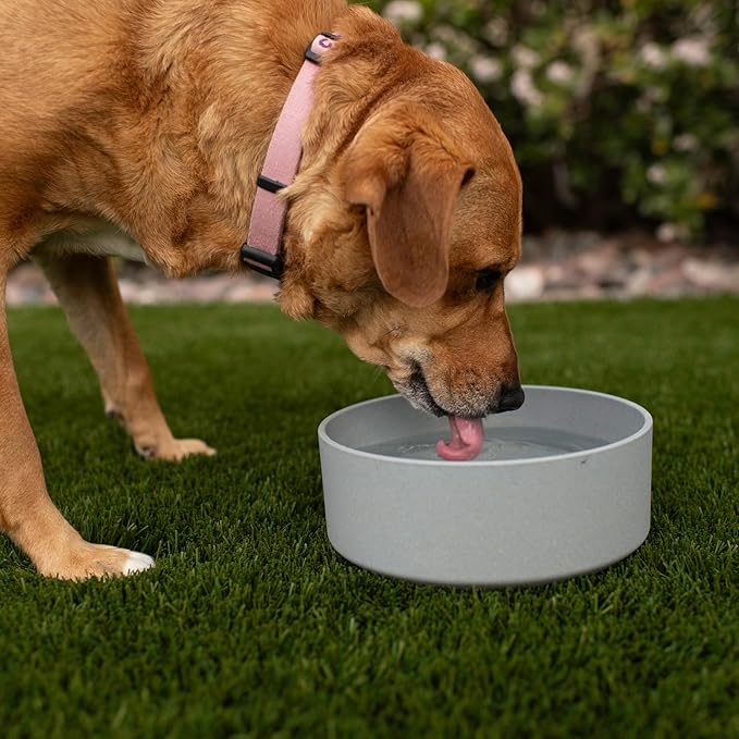 Loving Pets - Dolce Bamboo - Eco-Friendly Pet Bowls & Dishes for Dog, Cats, Puppy Food and Water Dish -Sustainable and Dishwasher Safe, Made with Real Bamboo (Small, Slate-Grey)