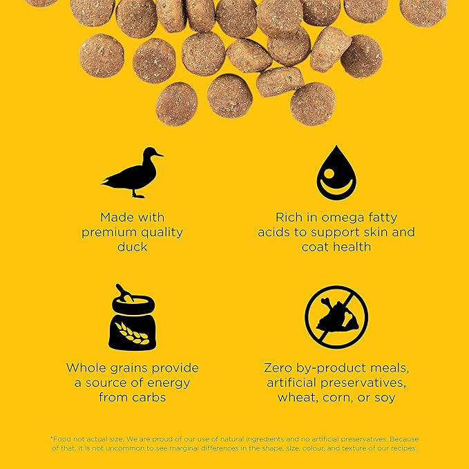 Go! Solutions Skin + Coat Care Duck Dry Dog Food with Grains, Chicken-Free, Healthy Kibble with Omega-3s & 6s for Soft, Shiny Fur, for Puppies, Adults, & Seniors, 12 lb Bag
