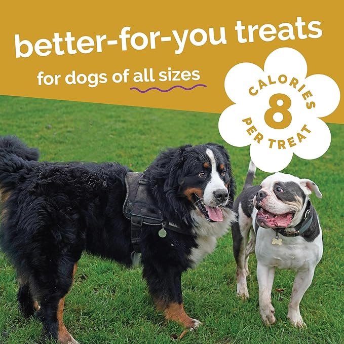 Fruitables Baked Dog Treats, Healthy Pumpkin Treat for Dogs, Low Calorie & Delicious, Made Without Wheat, Corn and Soy, Made in The USA, Allergy Friendly, Chicken and Cranberry Flavor, 20 oz