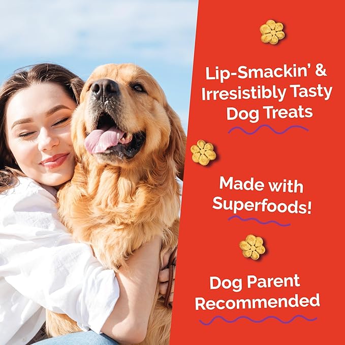 Fruitables Baked Dog Treats, Healthy Pumpkin Treat for Dogs, Low Calorie & Delicious, Made Without Wheat, Corn and Soy, Made in the USA, Allergy Friendly, Crispy Bacon and Apple Flavor, 20 oz