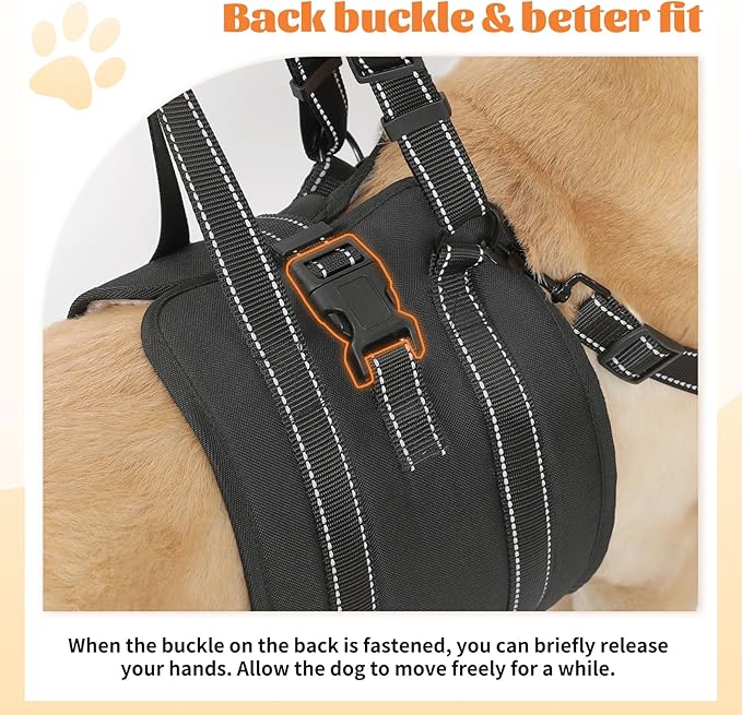 NOYAL Dog Lift Harness Sling - Adjustable Pet Carrier for Senior Dogs with Arthritis Joint Injuries, Emergency Support Rehabilitation Aid for Nail Trimming, Stairs Assistance
