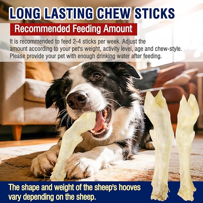 Sheep Hooves Dog Treats Dehydrated Lamb Trotters Single Ingredient Chew Sticks Bone for Puppy Organic Training Low Fat 30g