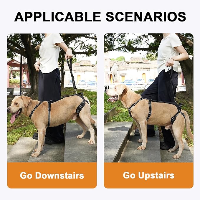 COODEO Professional Dog Sling for Hind Leg Support - Aid for Post-ACL/TPLO Surgery & Senior Dogs, Secure,Breathable & Machine-Washable with Reflective Edging for Safe Walks (Black, L)