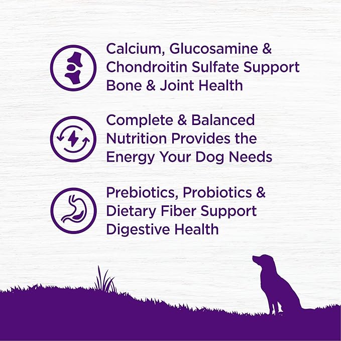 Wellness Complete Health Senior Dry Dog Food, Wholesome Grains, Natural, Age Advantage Chicken & Barley Recipe, (15-Pound Bag)