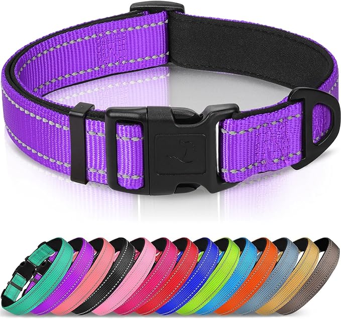 Joytale Reflective Dog Collar, Soft Neoprene Padded, Metal D-Ring, Nylon Pet Collar Adjustable for Medium Dogs, Purple, M