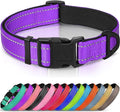 Joytale Reflective Dog Collar,Soft Neoprene Padded Breathable Nylon Pet Collar Adjustable for Large Dogs,Purple,L