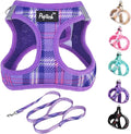 PUPTECK Dog Harness and Leash Set for Small Medium Dogs No Pull Step-in Soft Mesh Puppy Cat Vest Harnesses Reflective at Night, Plaid Pattern Purple XS