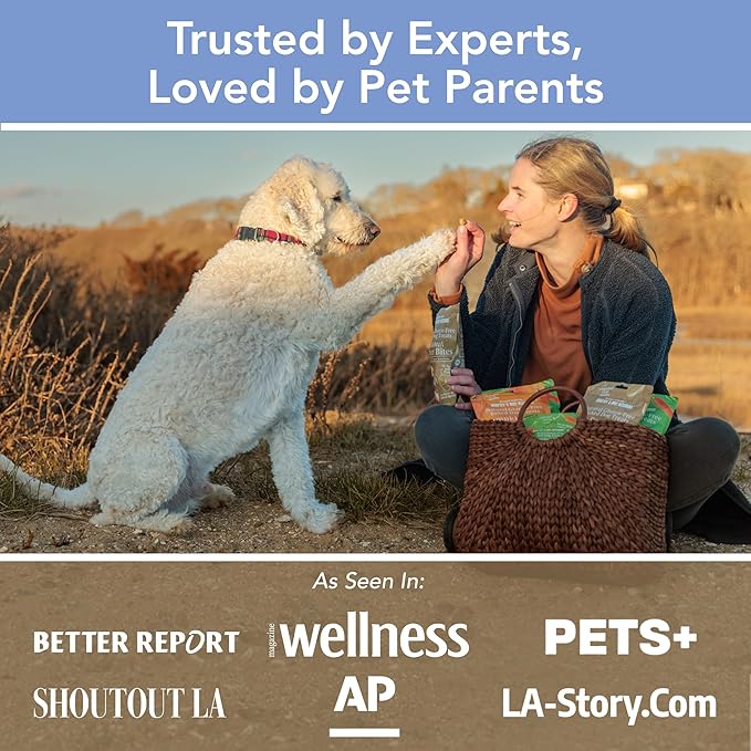 Marcy's Pet Kitchen-Diabetic Dog Treats-Vet Recommend-No Preservatives - Crunchy, Superfoods, All Natural-Vegan Homemade,-Gluten Free-for Sensitive Stomachs-Made in The USA Only (On The Go Variety)