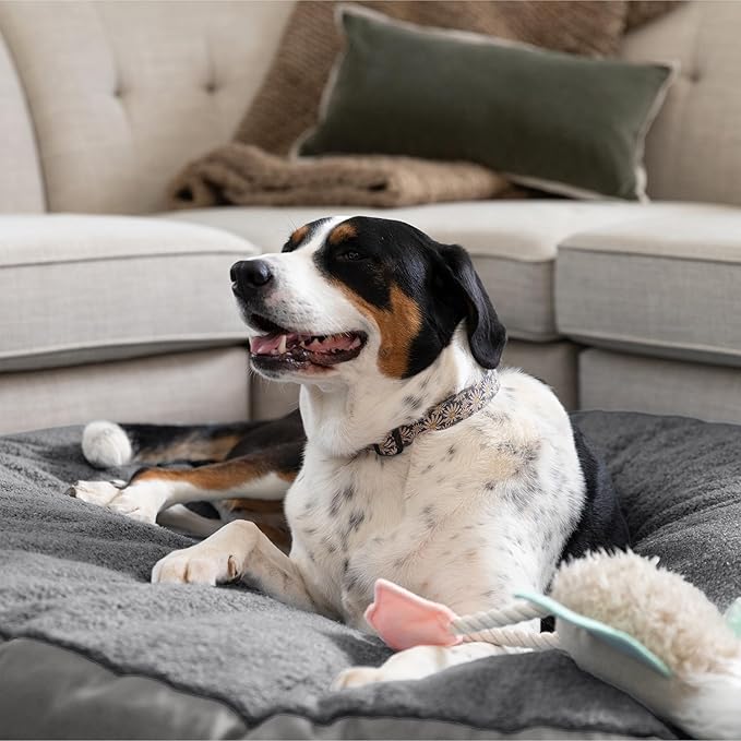 JAXX Robbi Dog Bed Bean Bag – Round Bed with Machine Washable Cover and No-Slip Base - Supportive Memory Foam for Senior Dogs & Joint Pain Relief - Ultimate Comfort & Luxury - Large, Grey/Charcoal