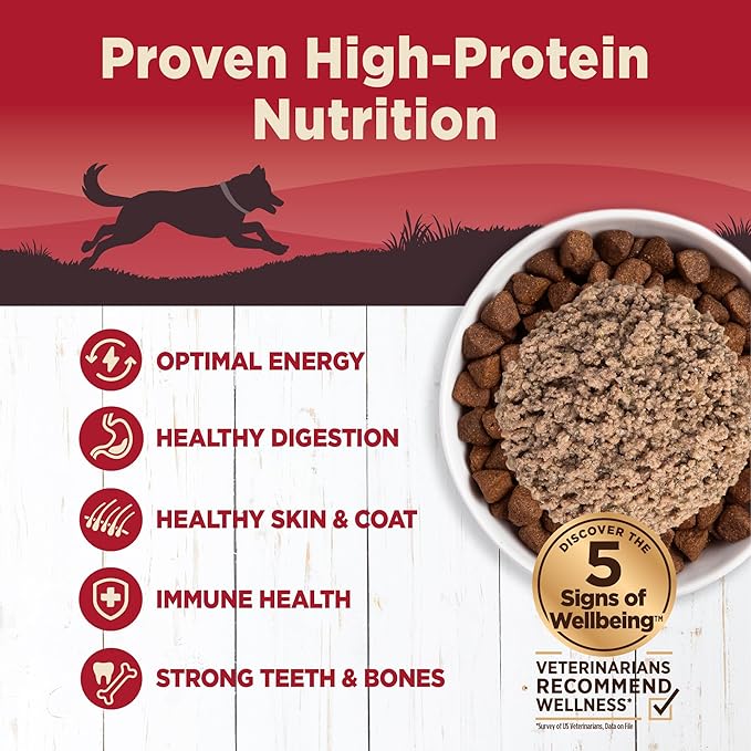 Wellness CORE 95% Natural Wet Grain Free Canned Dog Food, Beef & Carrots,12.5-Ounce Can (Pack of 12)