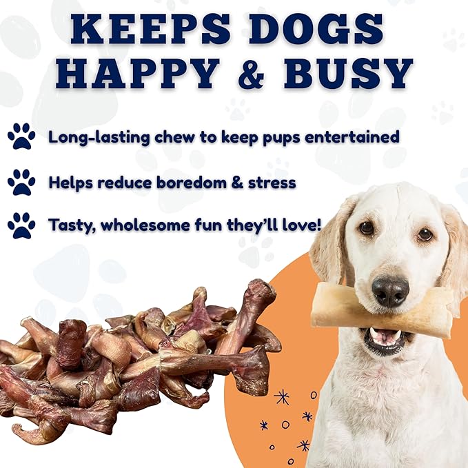 Amazing Dog Treats - Bully Stick Bites (2 Lb. Bag) Premium Dog Chews - Easily Digestible Bully Stick Dog Treat - 100% Beef Bully Bones