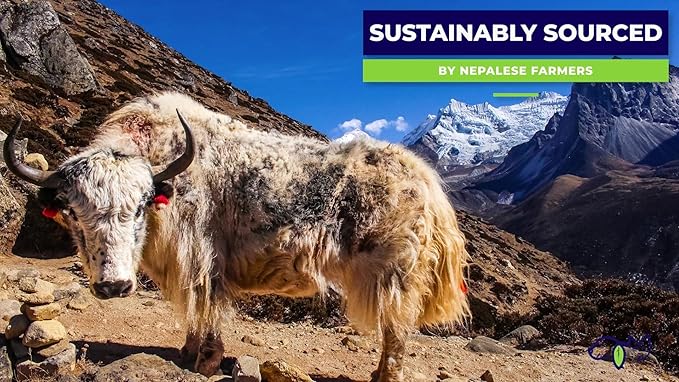 Himalayan Yak Chews, Natural Dog Treats, Limited Ingredients, 68 grams of protein, raw-hide alternative, large dog chews for aggressive chewers (Cheese)