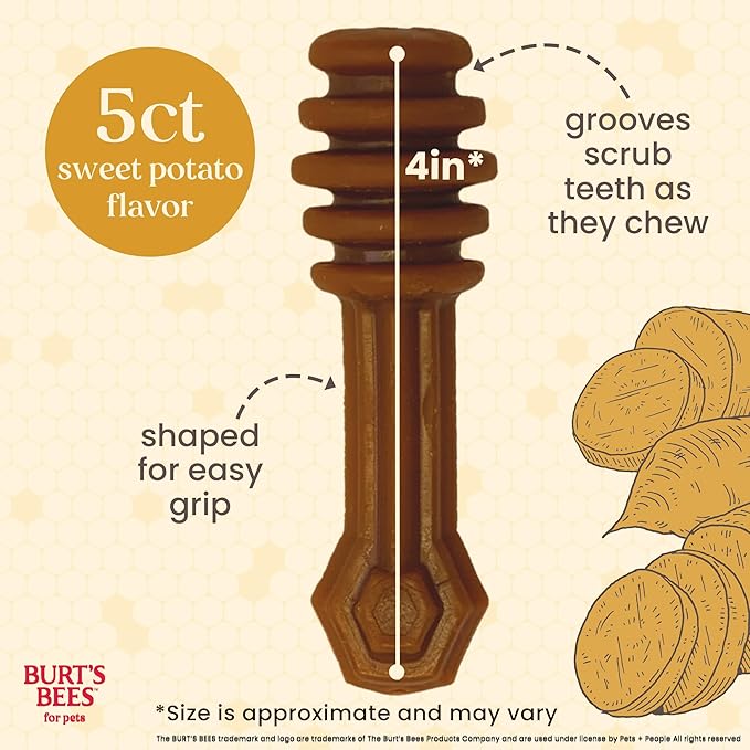 BURT'S BEES FOR PETS Dental Treats for Dogs with Manuka Honey & Ginger, Holistic, Plant-Based Oral Care, 98% Natural Origin Formulas, Sweet Potato Flavor, Dog Treats Medium Dogs, Sz Md/Lg 5ct, 7 oz