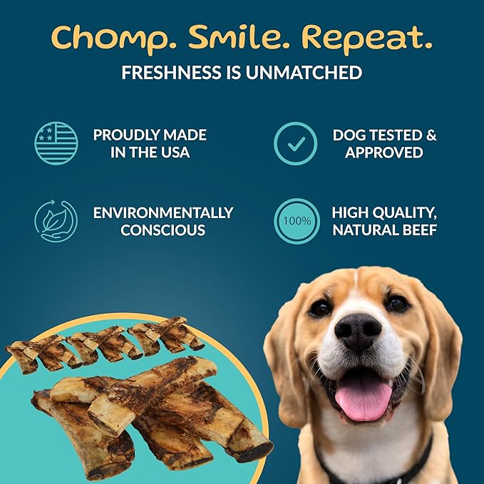 TREATOPIA Adventure Tail Wagger Dog Bones, 20-Pack 8–10" Beef Rib – Long-Lasting Natural Chews for Medium & Large Dogs, USA Made, Single Ingredient, Hand-Trimmed, Slow-Roasted, No Additives or Fillers