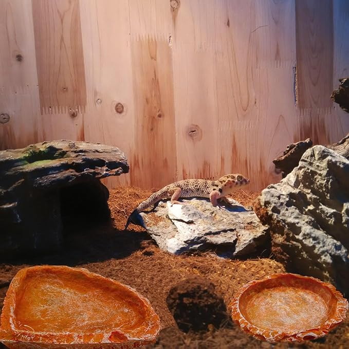 3 Pack Reptile Water Dish and Food Bowls, Reptile Rock Bowl for Bearded Dragon Lizard Frog Gecko Tortoise Hermit Crab (Orange)