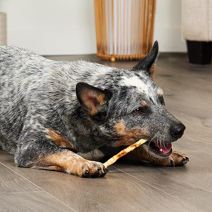 Combo Chews Beefhide Twist Sticks 5" w/Pork Meat Wrap Dog Chew Treats - 20 Count/1 Pack