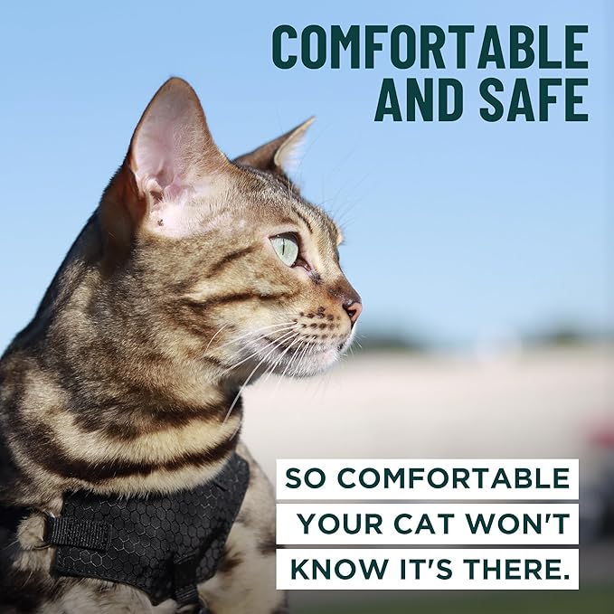 Houdini™ Escape Proof Cat Harness and Leash Set by OutdoorBengal – Turquoise, Large Cat Harness for Walking Big Cats
