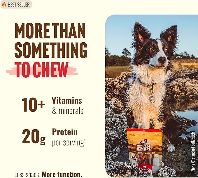 Natural Farm Odor-Free Bully Sticks (4-8”, 16oz) ALL-NATURAL Long-Lasting Chews, 100% Beef Pizzle, Grass-Fed, Grain-Free, Hormone-Free, Protein for Muscle Development & Energy, Perfect For Medium Dogs