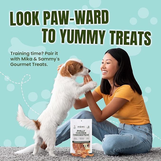 Gourmet Chicken Jerky Dog Treats - Made in USA only, Cage-Free, No Additives (Mika & Sammy's Chicken Cheese 12 oz)