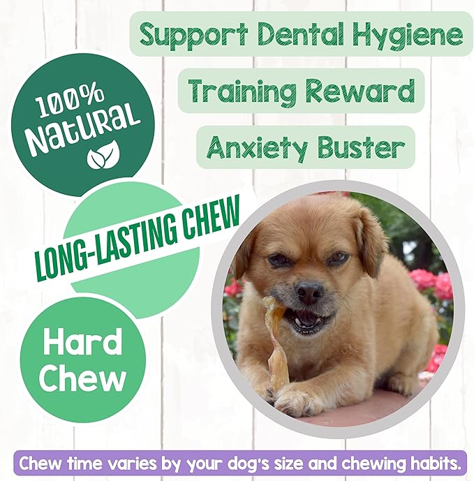 Nature Gnaws Beef Tendons for Dogs 4-5" (12 Count) - Mixed Thickness - Long Lasting for Small and Medium Dogs - Natural Beef Jerky Dog Chew Bones - Rawhide Free