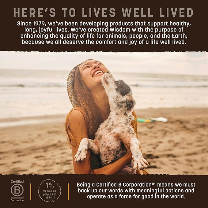 Earth Animal Wisdom Air Dried Jerky - Chicken Recipe Premium Natural Jerky Strips Dog Treats - 4 oz Bag