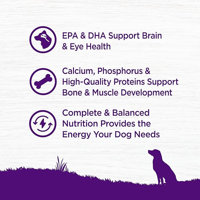 Wellness Complete Health Puppy Dry Dog Food, Wholesome Grains, Natural, Chicken, Oatmeal, & Salmon Recipe, (5-Pound Bag)