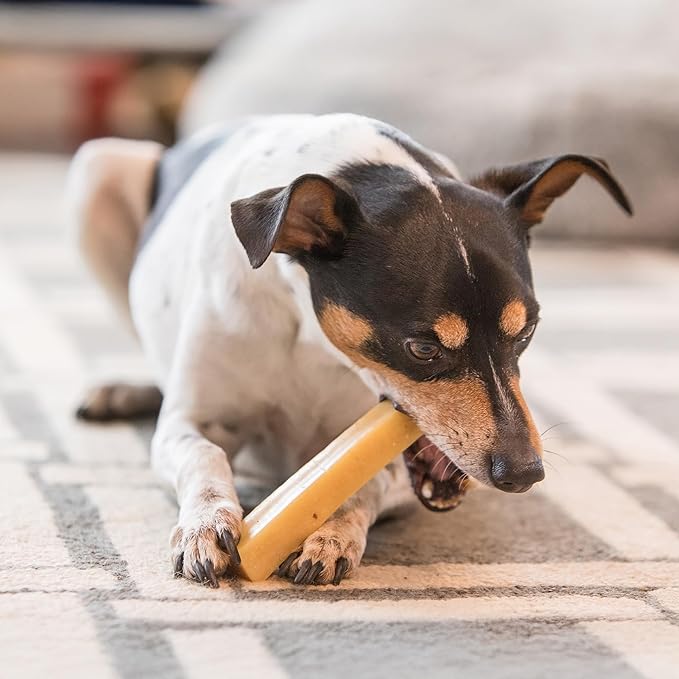 Authentic Himalayan Natural Dog Cheese Chew (Pack of 4 Large & XLarge Chews), Premium Organic Yak Chew, Keeps Your Dog Busy, Ideal for Indoors and Outdoors Use
