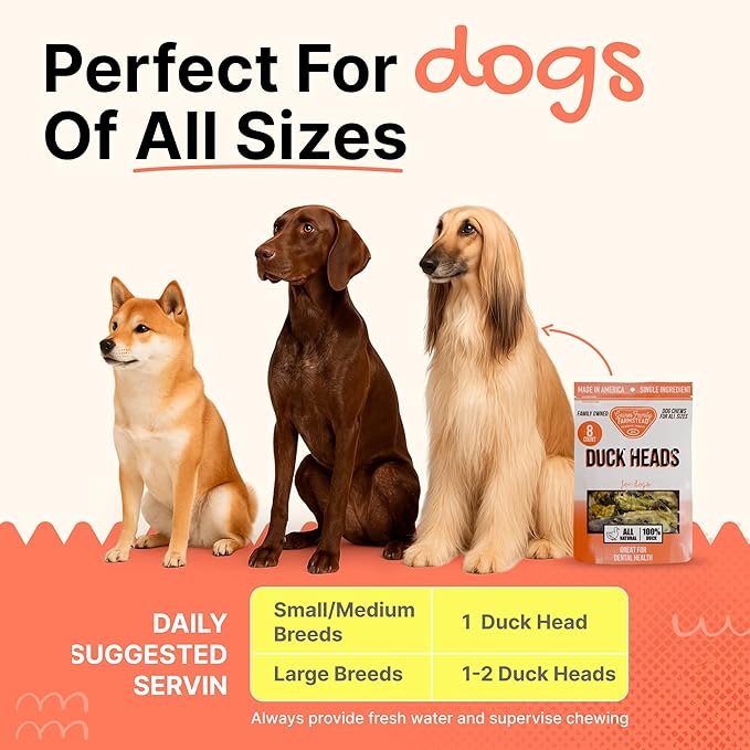 Gaines Family Farmstead Duck Heads for Dogs – 8 Count, Single Ingredient, Dehydrated Dog Chews – High in Protein, Supports Dental Health & Joint Care – Rawhide-Free Treats, Made in USA