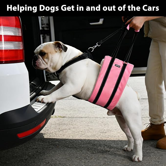 AIITLE Dog Carrier Sling for Large Dogs - Adjustable Anti-Slip Lift Harness with Detachable Reflective Collar & Thick Plush Padding, Mobility Aid for Hind Leg Support, Senior and Rehab (Pink, XL)