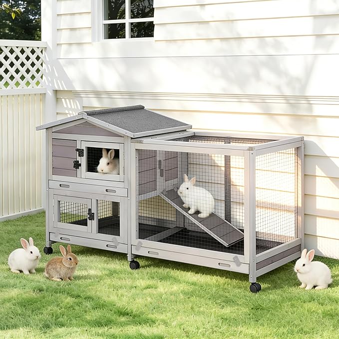 Gutinneen Large Indoor Rabbit Hutch Bunny Cage with Chew-Proof Ramp, Locking Leak-Proof Trays - Outdoor 62" Wooden Rabbit Cage with 6 Wheels for Rabbits, Guinea Pigs, Small Animals (Grey)