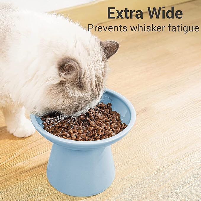 CEEFU Extra Wide Elevated Ceramic Cat Food Bowl - 6.2" Shallow Dish for Whisker Fatigue Relief, 5" Height for Easy Feeding, Lead & Cadmium Free, Durable Raised Cat Food Bowls, Blue