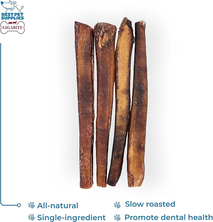GigaBite Bully Sticks for Dogs All Natural Beef Pizzle Dog Chews, Odor & Rawhide Free Dog Treats, Long Lasting High Protein Chews Digestible Dental Dog Treat - Sticks (Monstrous 12"), Pack of 4