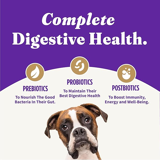 Halo Holistic Vegan Dog Food, Plant-Based Peanut Butter Recipe, Dry Dog Food, Complete Digestive Health, Kibble for Adult Dogs, 21 lb Bag