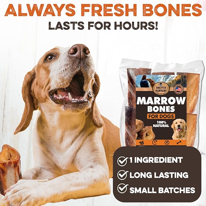 BRUTUS & BARNABY Marrow Bones for Dogs – 100% USA-Sourced Beef Bones – Long-Lasting, All-Natural Dog Chews – High Protein, Supports Dental Health, (12-pk) – Made in The USA