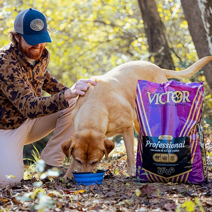 VICTOR Super Premium Dog Food – Professional Kibble Food – Super Premium Kibble with 26% Protein – Gluten-Free with Beef, Chicken & Pork Meals – for High Energy and Active Dogs & Puppies, 5lbs
