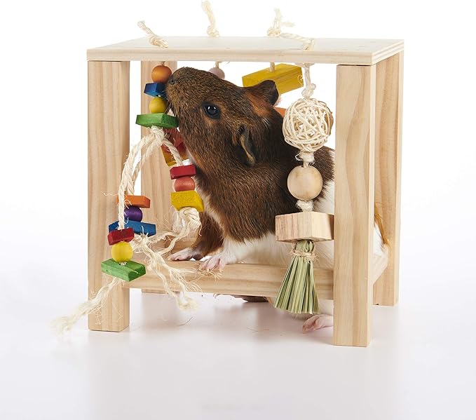 Oxbow Enriched Life Play Table, Rabbit Toys, Guinea Pig Toys, Enrichment for Bunny, Guinea Pig, Hamster, Rabbit, Chinchilla, Rat, Chinchilla Cage Accessories, Small Pet Accessories for Cage