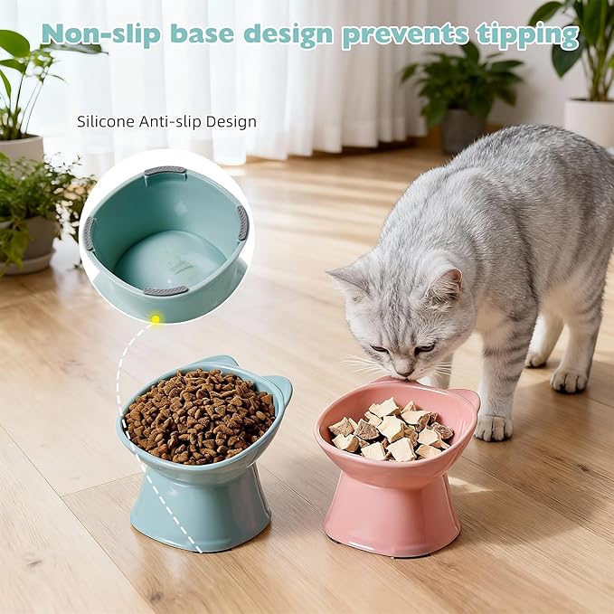 KSIA Klear Elevated Cat Bowls 2 Pack, Tilted Raised Cat Bowls for Indoor Cats, for Food and Water, 4.72" Wide, Whisker Friendly Anti Vomit for Indoor Cats, Microwave and Dishwasher Safe, Pink&Blue